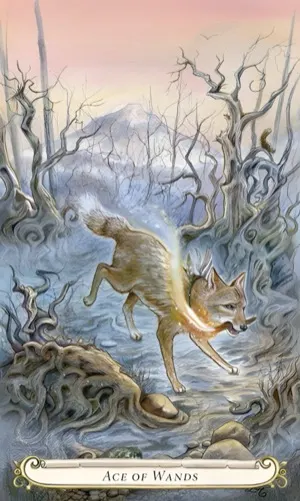 Ace of Wands