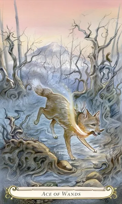 Ace of Wands